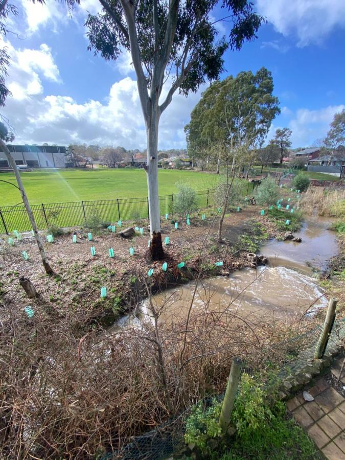 Hahndorf Motel エクステリア 写真